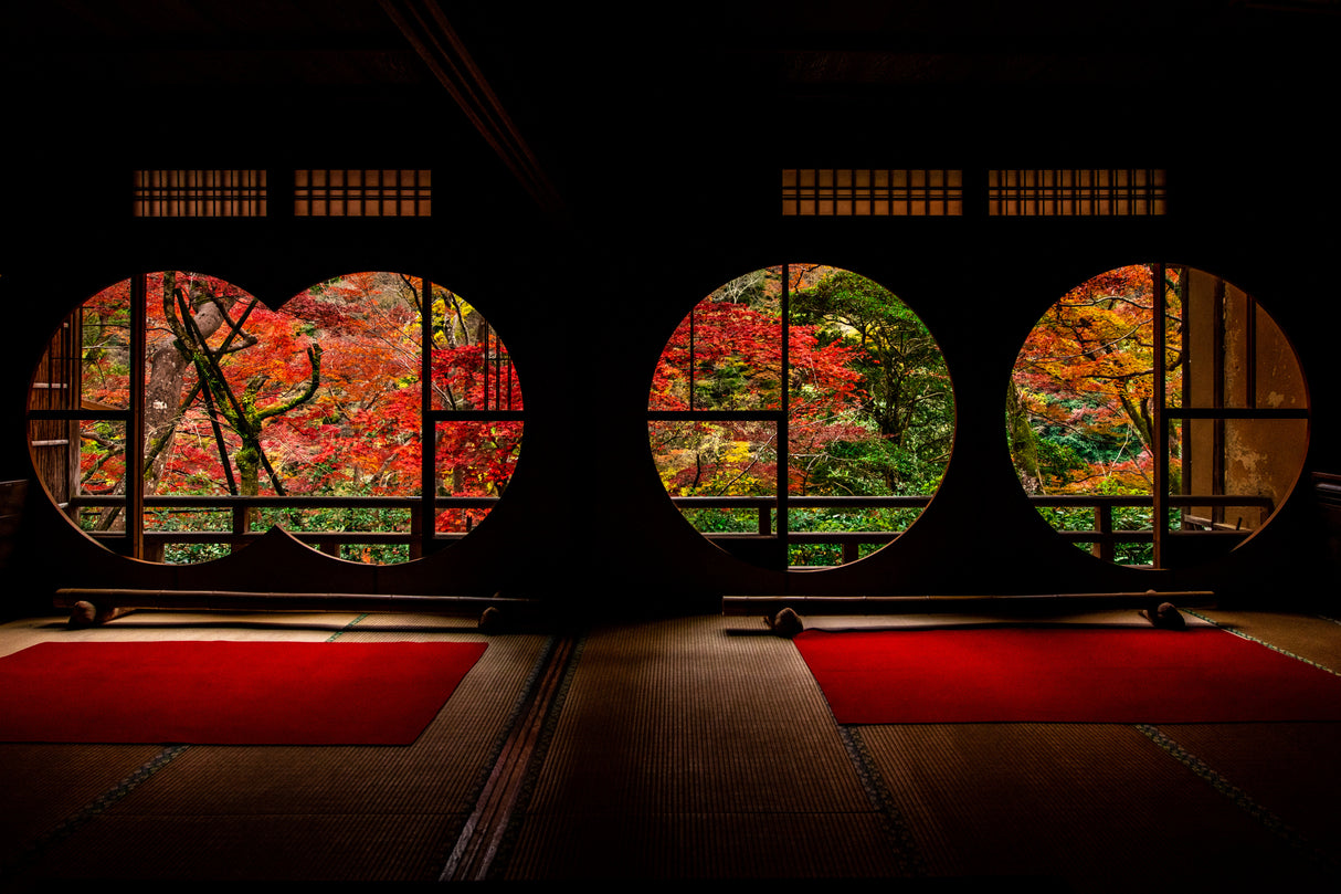Autumn leaves Poster och Canvastavla