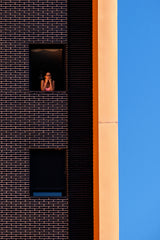 The girl at the window Poster och Canvastavla