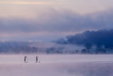 Misty Lake #4 Poster och Canvastavla