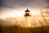 Sylt Impression Poster och Canvastavla