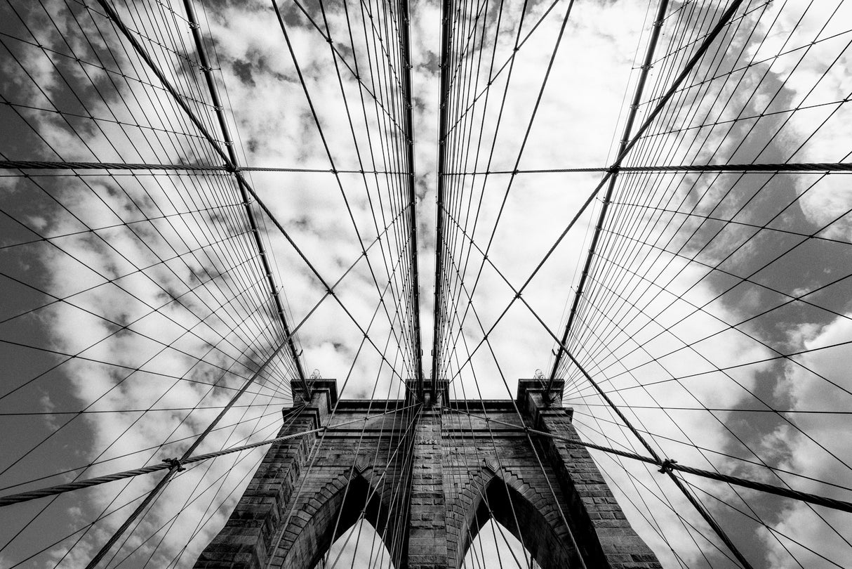 The bridge Poster och Canvastavla