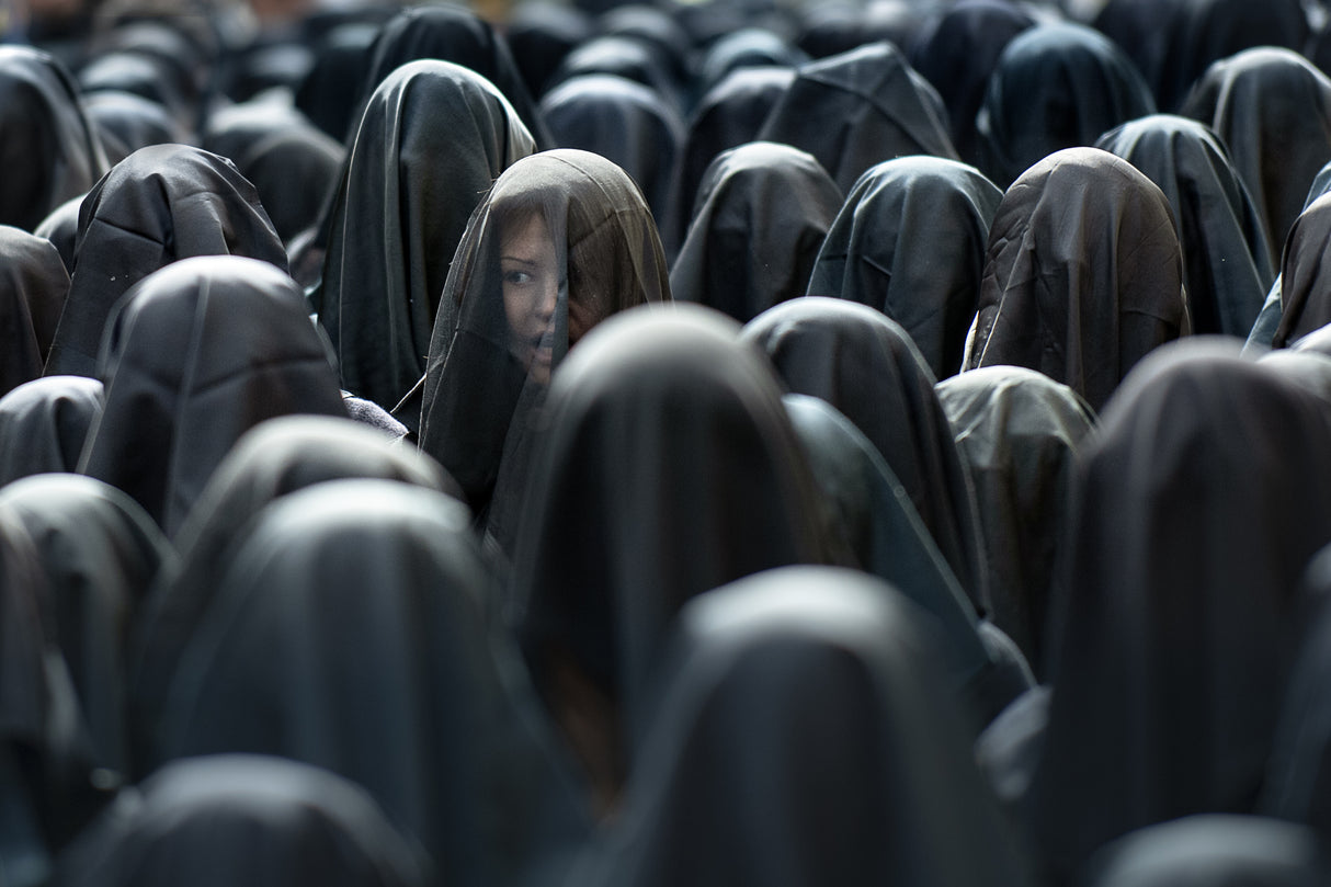 The scream Poster och Canvastavla