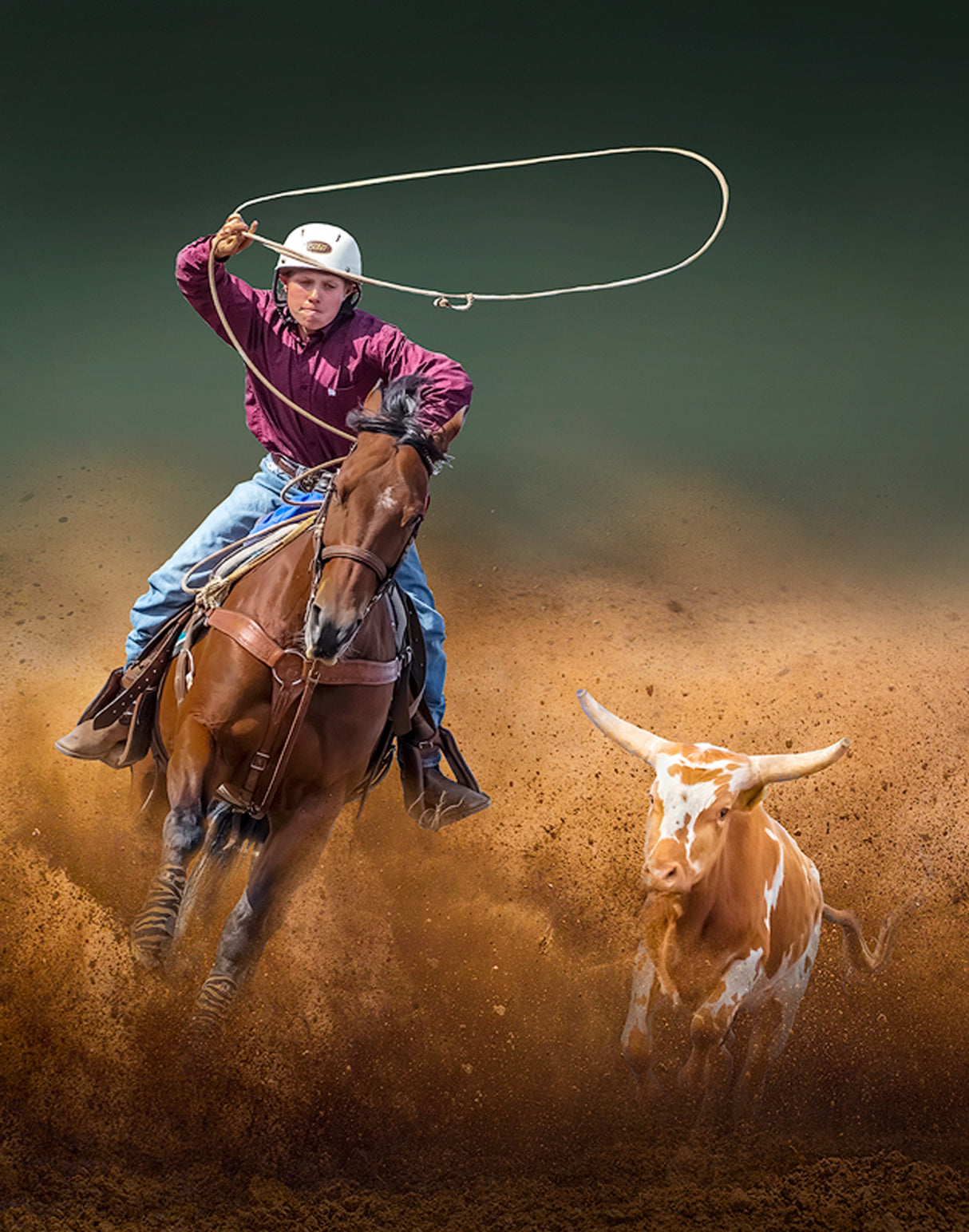 Tie Down Roping Poster och Canvastavla