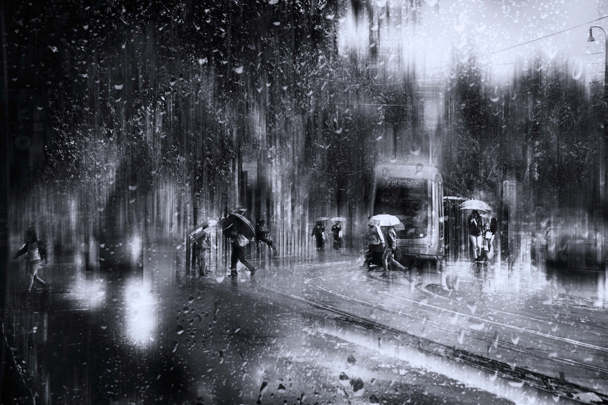Viale Trastevere in the rain - Rome Poster och Canvastavla