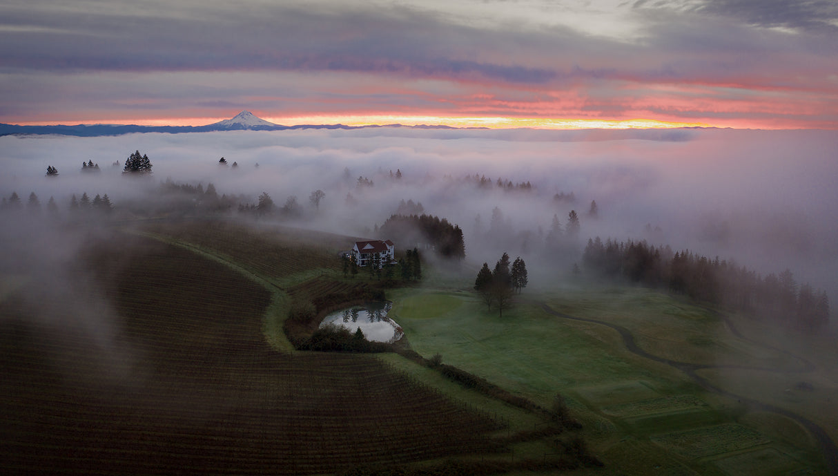 Foggy morning at staf. hill Poster och Canvastavla