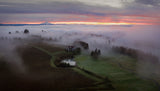 Foggy morning at staf. hill Poster och Canvastavla