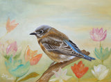 Bluebird On a Sunny Day Poster och Canvastavla