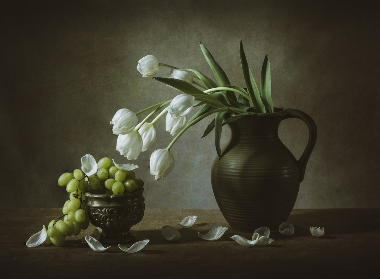 White Tulips Poster och Canvastavla