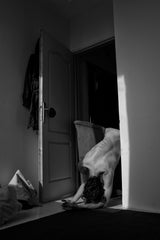 Alone at home Poster och Canvastavla