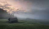 Morning silence Poster och Canvastavla