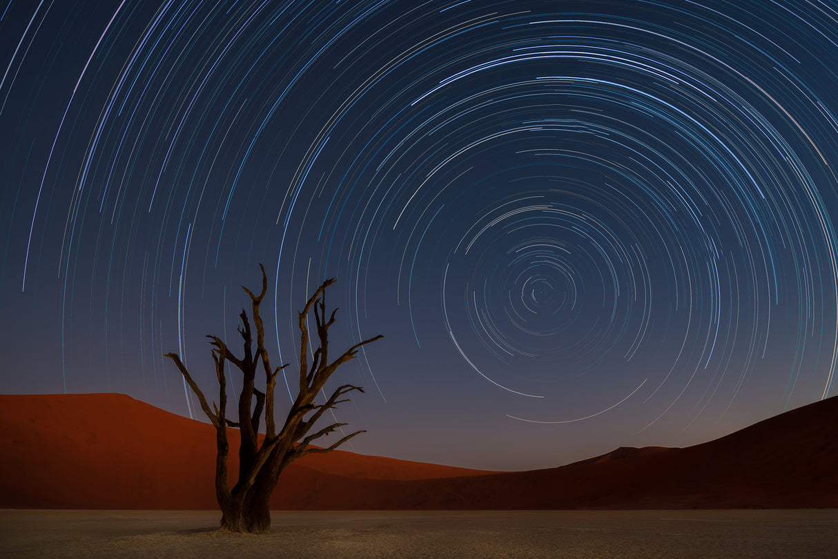 Star Trails of Namibia Poster och Canvastavla