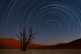 Star Trails of Namibia Poster och Canvastavla