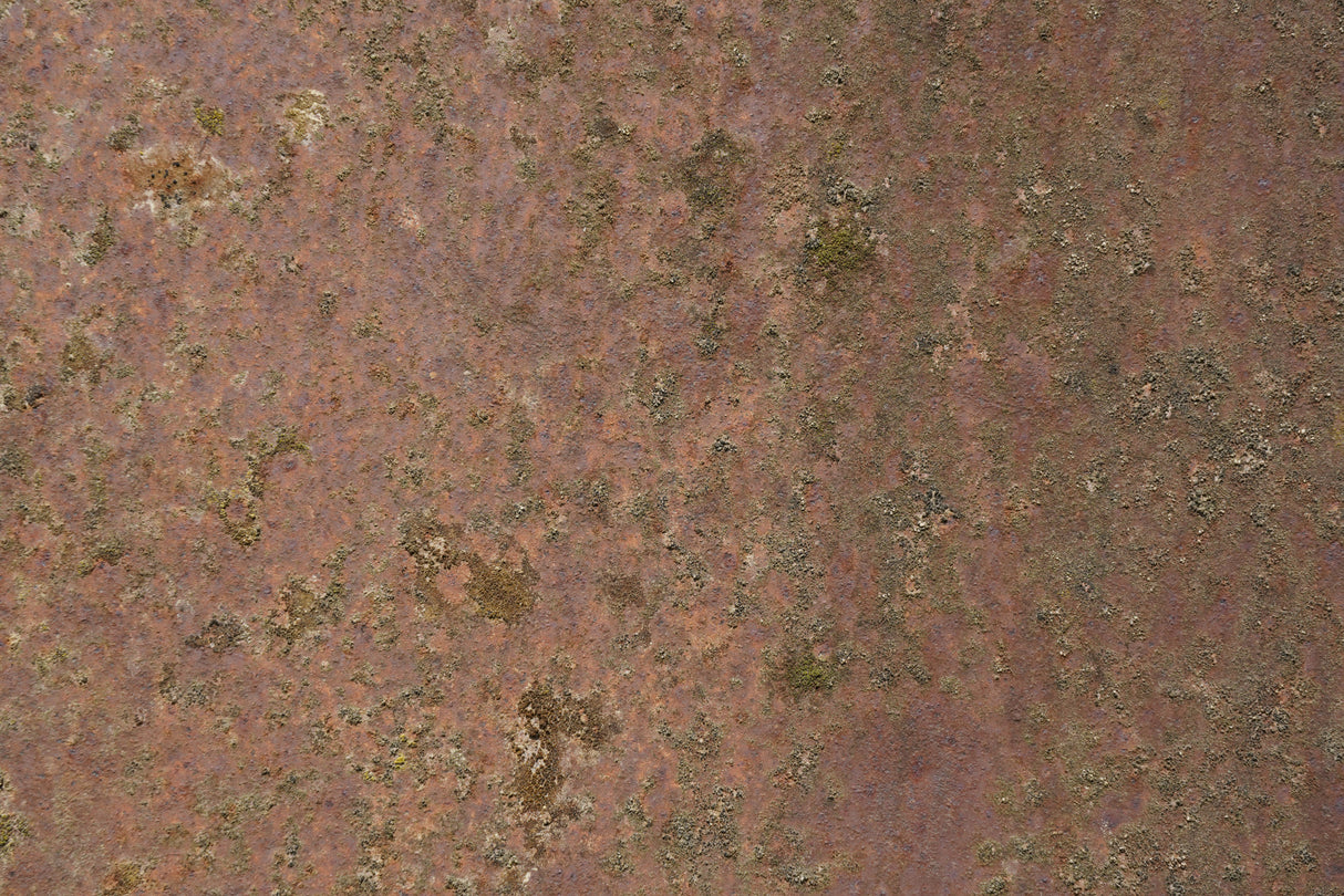 Rust 23 Poster och Canvastavla