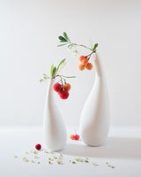 Strawberry Tree Fruit and Flower Poster och Canvastavla