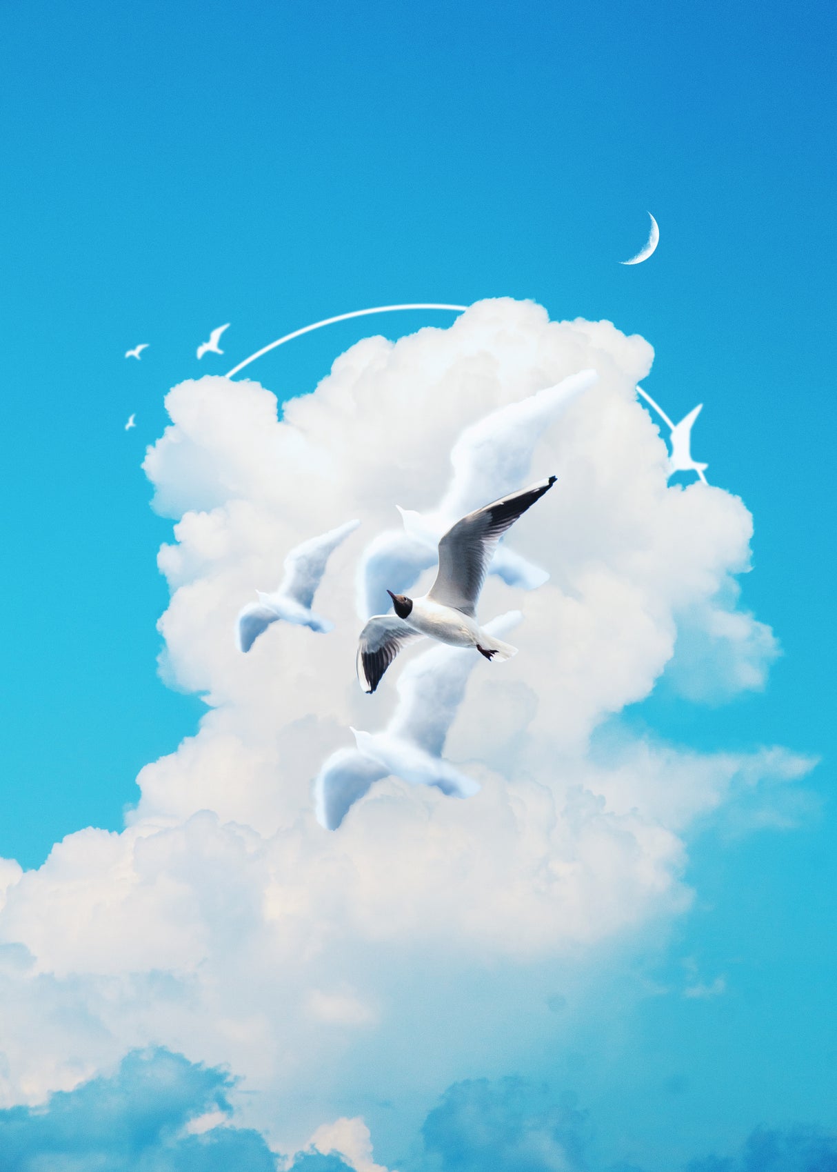 Fly Free Birds Cloud Poster och Canvastavla