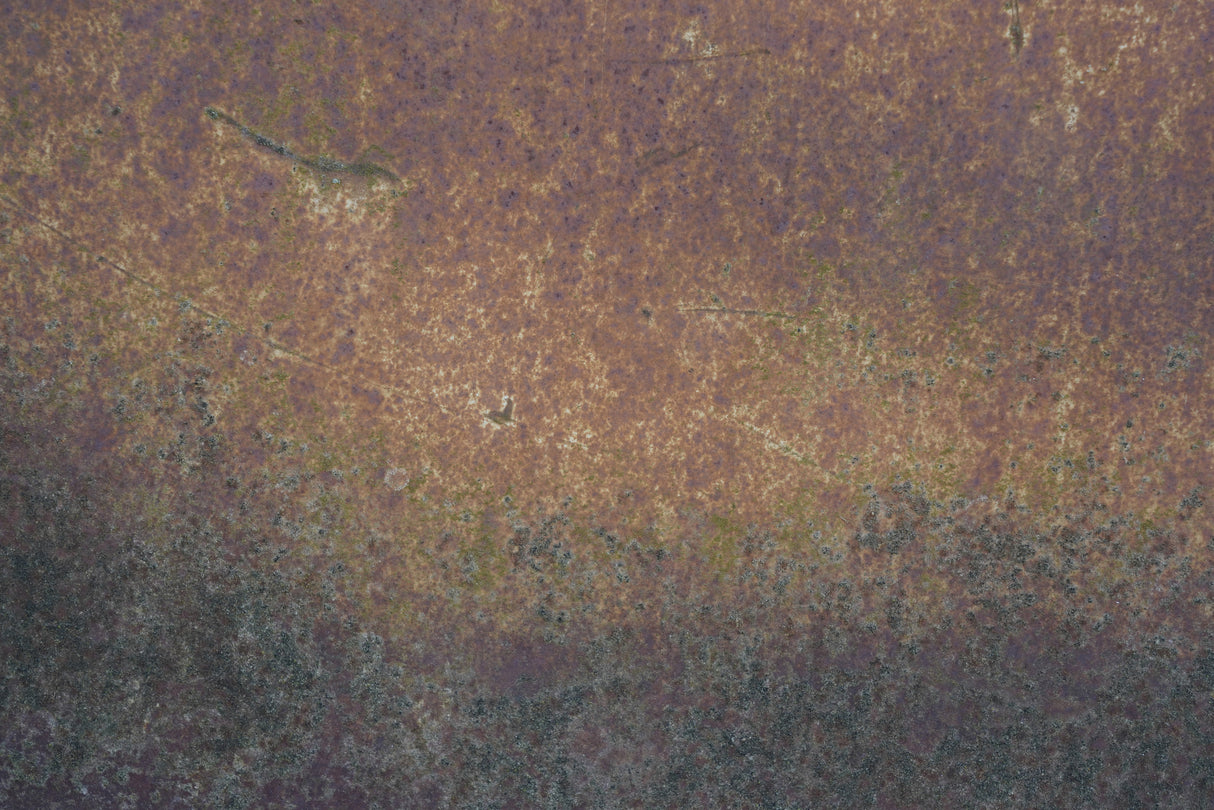 Rust 19 Poster och Canvastavla