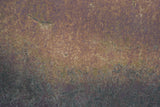 Rust 19 Poster och Canvastavla