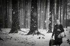 winter is coming Poster och Canvastavla