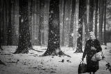 winter is coming Poster och Canvastavla