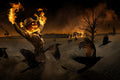 Jack-o\'-Scarecrow Poster och Canvastavla