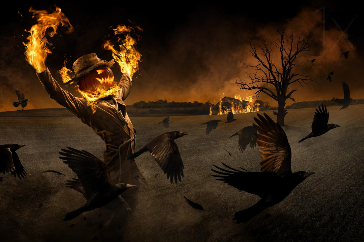 Jack-o\'-Scarecrow Poster och Canvastavla