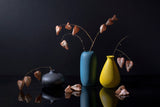 Chinese lantern Poster och Canvastavla