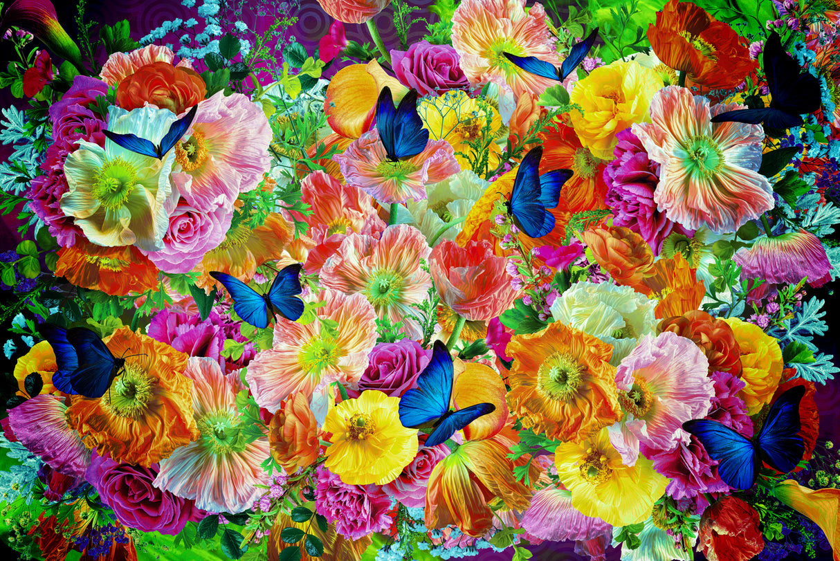 Summer Breeze Cancan Poster och Canvastavla