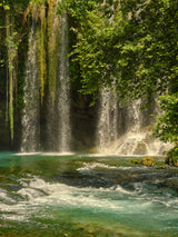 beautiful waterfall in the forest Poster och Canvastavla