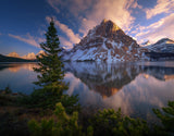 Atardecer en Bow Lake. Poster och Canvastavla