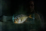 Aquarium Poster och Canvastavla
