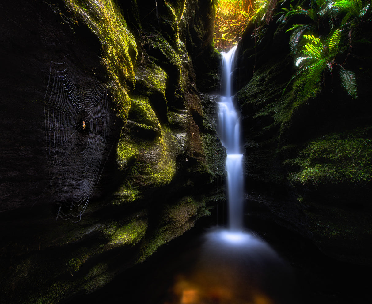 Secret Falls Poster och Canvastavla