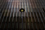 One World Trade Center Light Poster och Canvastavla