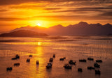 Fishing boats under sunset. Poster och Canvastavla
