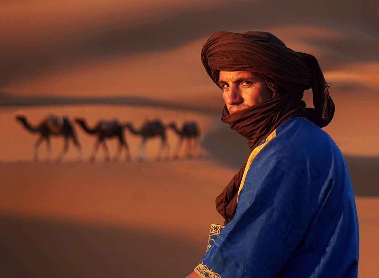 camels Poster och Canvastavla