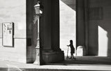Light and shadow Poster och Canvastavla