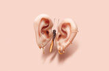 Butterfly Ears Poster och Canvastavla