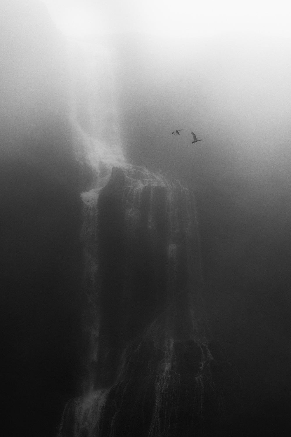 flights and falls Poster och Canvastavla