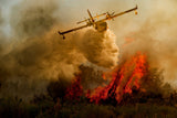 Fire in the National Park of Cilento #1 Poster och Canvastavla