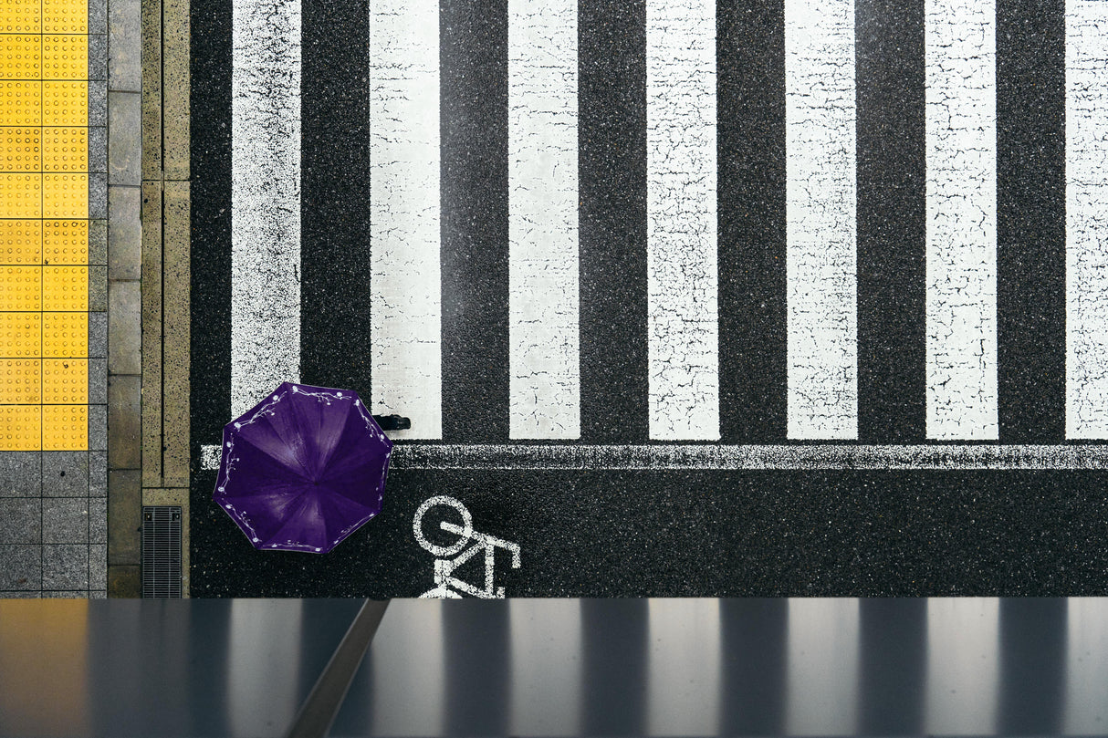 The crosswalk at a rainy day Poster och Canvastavla