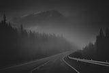 Driving in fog Poster och Canvastavla