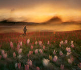 A long journey to the night Poster och Canvastavla