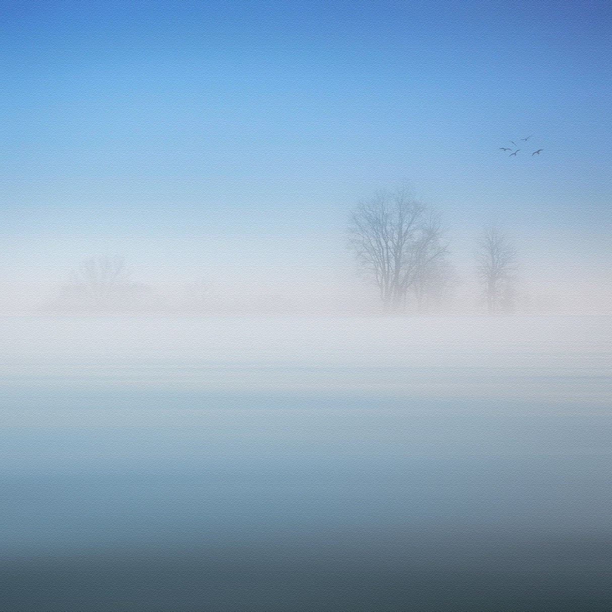 a foggy day Poster och Canvastavla