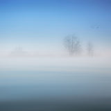 a foggy day Poster och Canvastavla