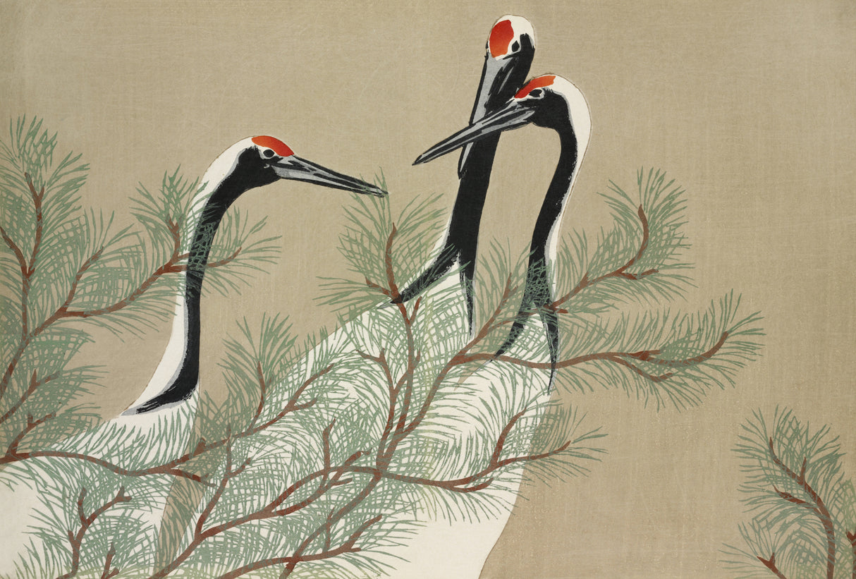 Cranes From Momoyogusa Poster och Canvastavla