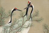 Cranes From Momoyogusa Poster och Canvastavla