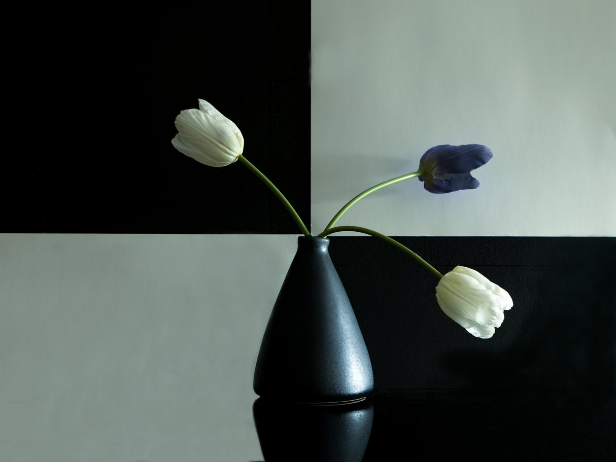 Tulips II Poster och Canvastavla