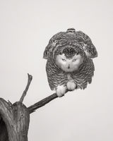 Unusual pose Poster och Canvastavla