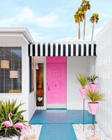 Pink Door with Yard Flamingos Poster och Canvastavla