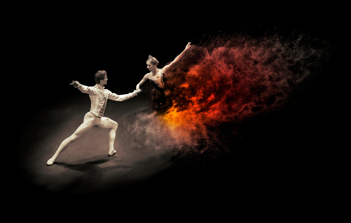 Dance With the ... Poster och Canvastavla