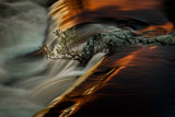 Golden water Poster och Canvastavla
